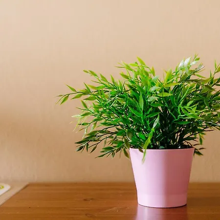 Airport-inn Hotel 3*