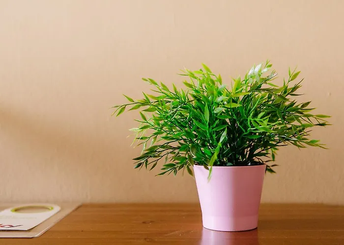 Airport-inn Szálloda 3*